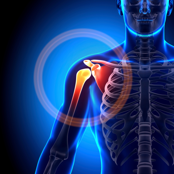 Shoulder Joint Replacement at at Nevada Orthopedics in Spanish Springs, NV